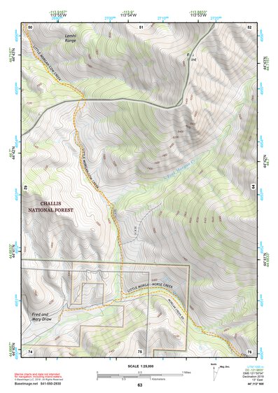 44113NW Page 63 Leadore Topo Preview 1