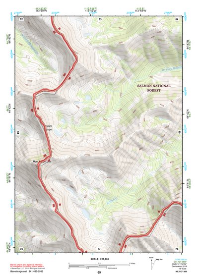 44113NW Page 65 Leadore Topo Preview 1