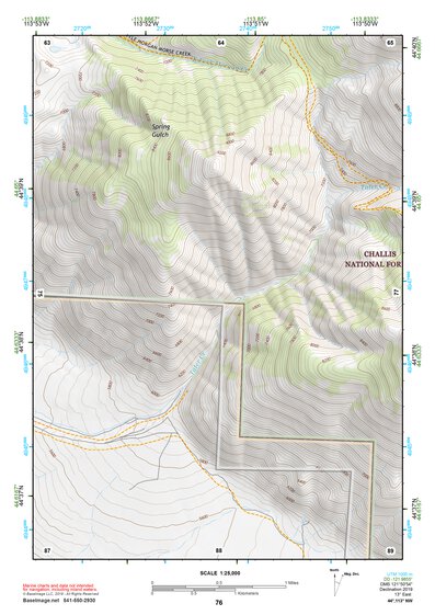 44113NW Page 76 Leadore Topo Preview 1