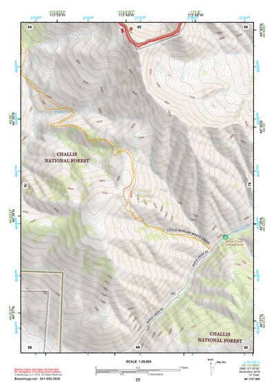 44113NW Page 77 Leadore Topo Preview 1