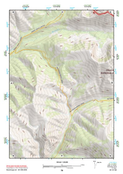44113NW Page 79 Leadore Topo Preview 1
