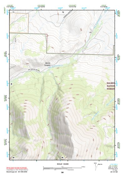 44113NW Page 84 Leadore Topo Preview 1