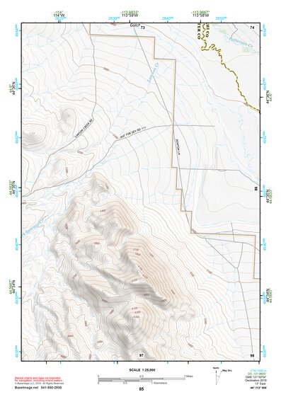 44113NW Page 85 Leadore Topo Preview 1