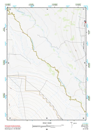 44113NW Page 86 Leadore Topo Preview 1