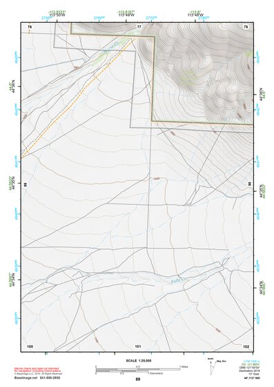 44113NW Page 89 Leadore Topo Preview 1
