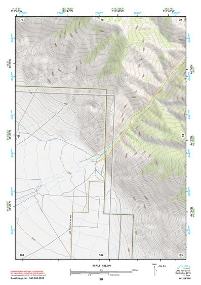 44113NW Page 90 Leadore Topo Preview 1