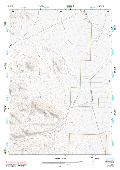 44113NW Page 98 Leadore Topo Preview 1
