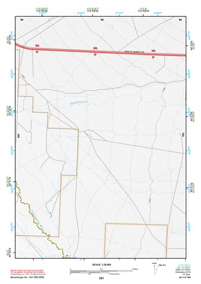 44113NW Page 101 Leadore Topo Preview 1