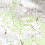44113NW Page 106 Leadore Topo Preview 2