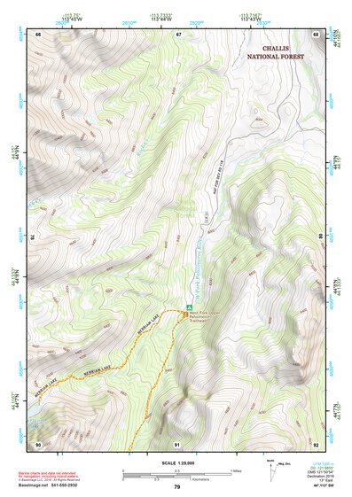 44113SW Page 79 Borah Peak Topo Preview 1