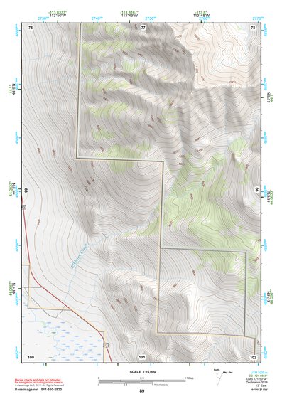 44113SW Page 89 Borah Peak Topo Preview 1