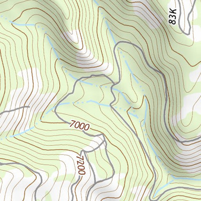 44114NE Page 44 Challis Topo Preview 3