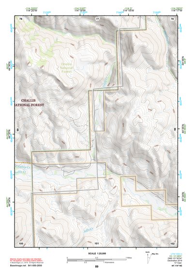 44114NE Page 89 Challis Topo Preview 1