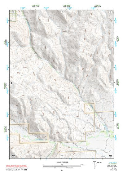 44114NE Page 90 Challis Topo Preview 1