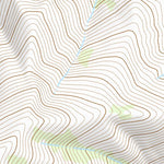 44114NW Page 16 Challis Topo Preview 2