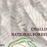 44114NW Page 30 Challis Topo Preview 3