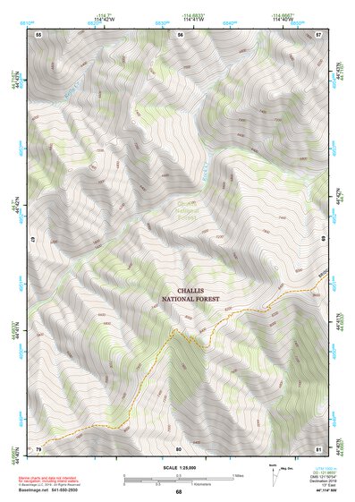44114NW Page 68 Challis Topo Preview 1