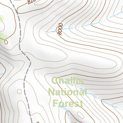 44114SE Page 12 White Cloud Peaks Topo Preview 2