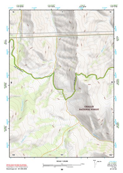 44114SE Page 89 White Cloud Peaks Topo Preview 1