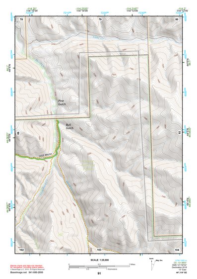44114SE Page 91 White Cloud Peaks Topo Preview 1