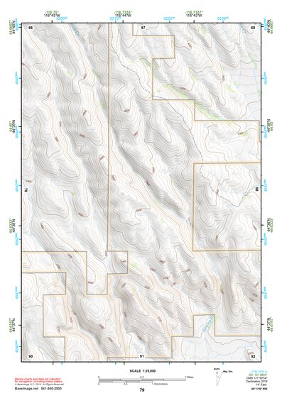 44116NW Page 79 Mc Call Topo Preview 1