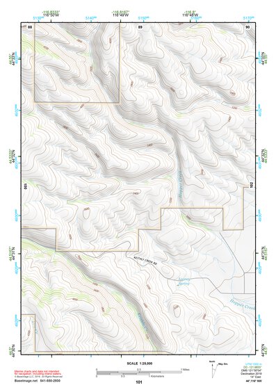 44116NW Page 101 Mc Call Topo Preview 1