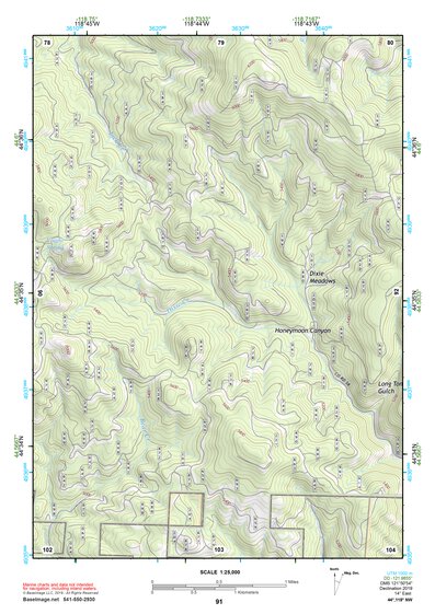 44118NW Page 91 Bates Topo Preview 1