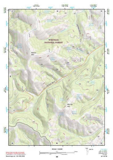 44118SE Page 44 John Day Topo Preview 1