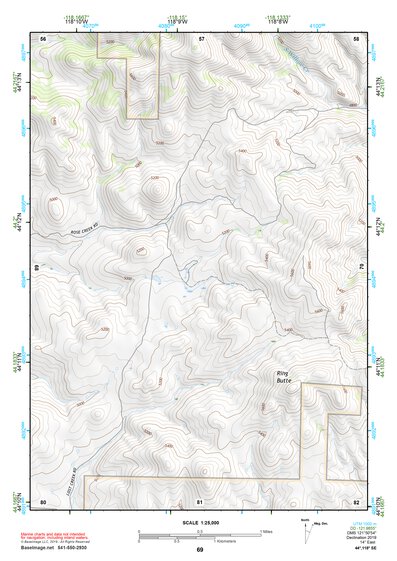 44118SE Page 69 John Day Topo Preview 1