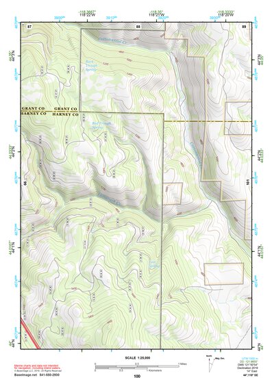 44118SE Page 100 John Day Topo Preview 1