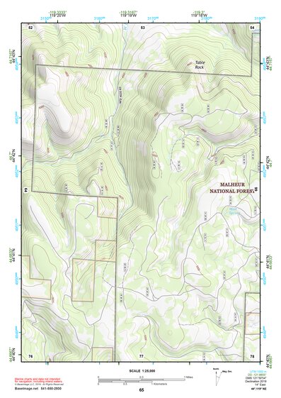 44119NE Page 65 Monument Topo Preview 1