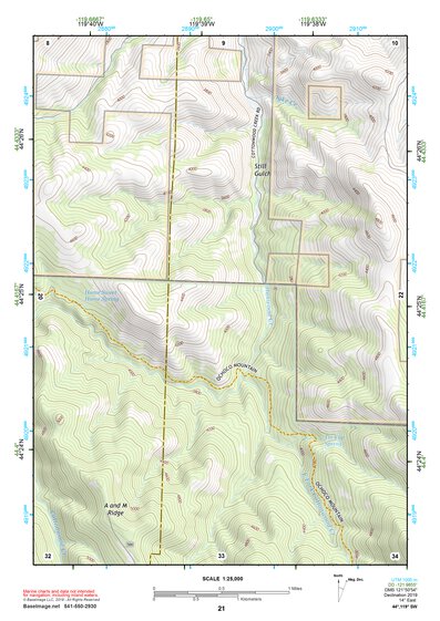 44119SW Page 21 Dayville Topo Preview 1