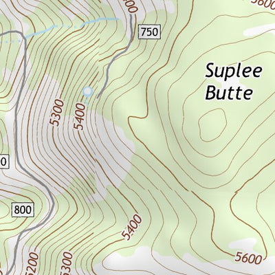 44119SW Page 82 Dayville Topo Preview 3