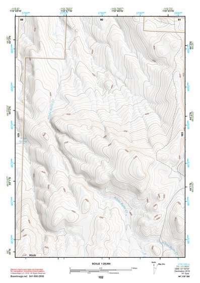 44119SW Page 102 Dayville Topo Preview 1