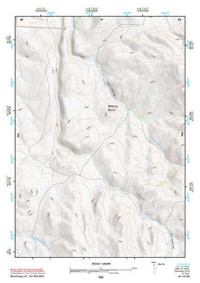 44119SW Page 103 Dayville Topo Preview 1