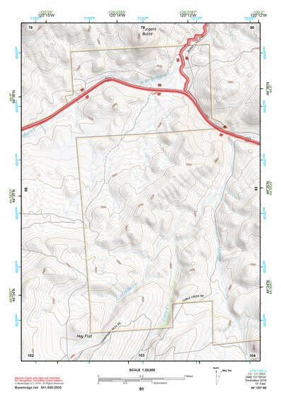 44120NE Page 91 Stephenson Mountain Topo Preview 1