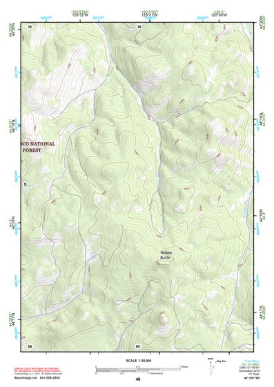 44120SW Page 48 Prineville Topo Preview 1