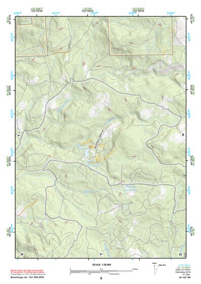 44122SW Page 9 Mc Kenzie River Topo Preview 1