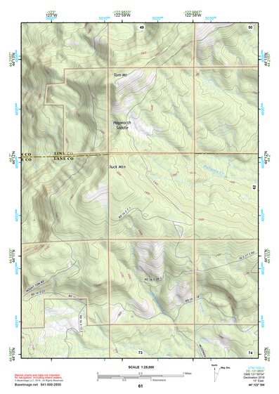 44122SW Page 61 Mc Kenzie River Topo Preview 1