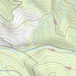 44122SW Page 68 Mc Kenzie River Topo Preview 2