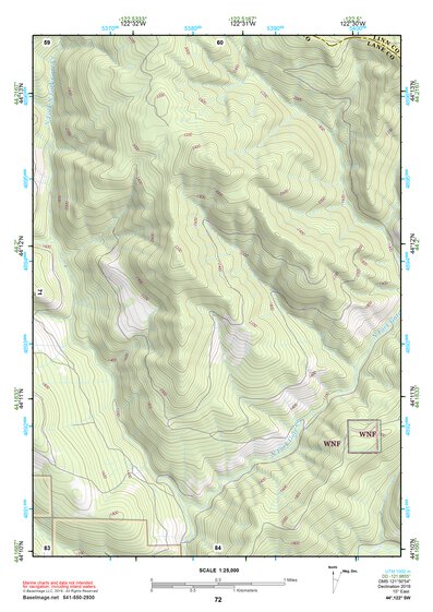 44122SW Page 72 Mc Kenzie River Topo Preview 1