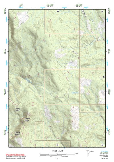 44122SW Page 73 Mc Kenzie River Topo Preview 1