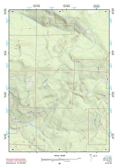 44122SW Page 78 Mc Kenzie River Topo Preview 1