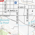 44123NE Page 17 Corvallis Topo Preview 2