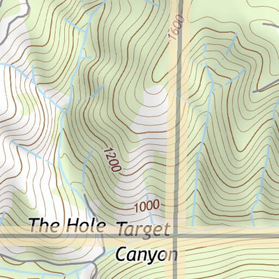 44123SE Page 50 Eugene Topo Preview 3
