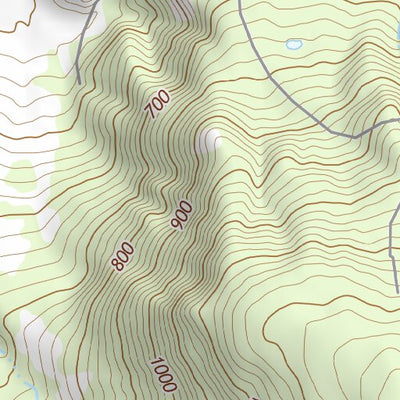 44123SE Page 60 Eugene Topo Preview 3