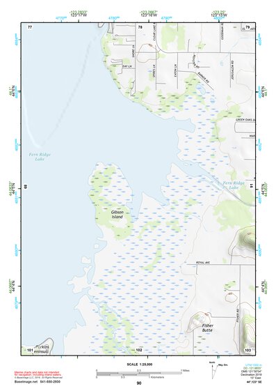 44123SE Page 90 Eugene Topo Preview 1