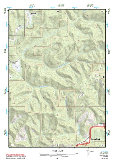 44123SW Page 80 Eugene Topo Preview 1