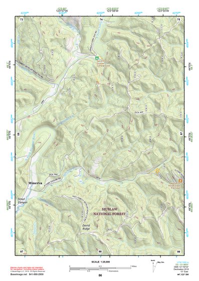 44123SW Eugene Topo Bundle Preview 1