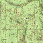 (45084a1) Page 050 Petoskey Preview 3